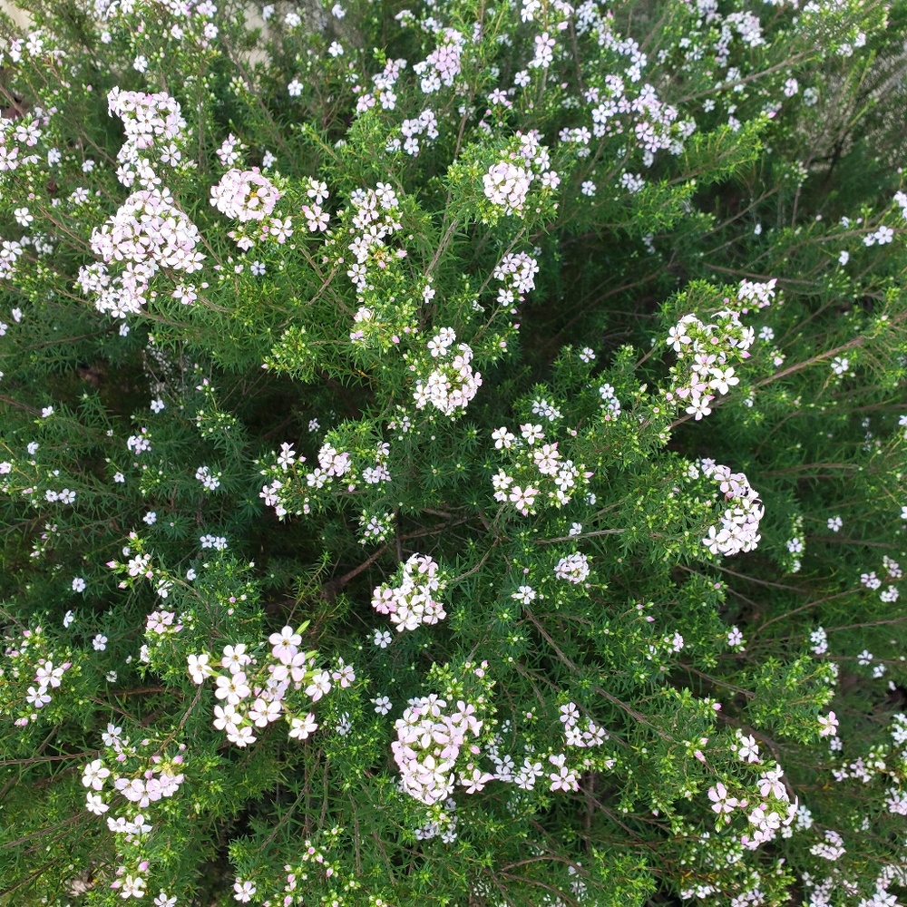 Meet your Posher, Cathy